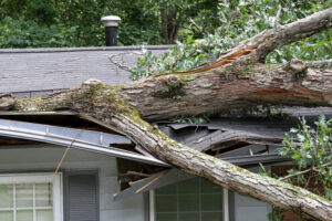 Partner with BPI to Grow Storm Damage Business